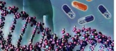 analise-de-dna-itaguai-1367854387