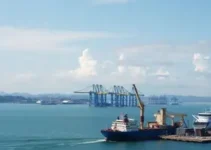 combustíveis de baixo carbono