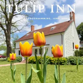 Tulip Inn Bauru programação especial