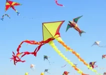 festival de pipa