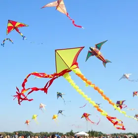 festival de pipa