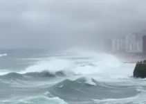 alerta de ventos