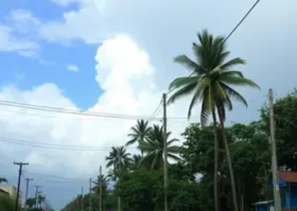 Últimas noticias de Itaguaí