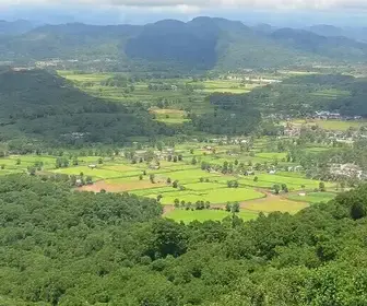 Porto do Meio