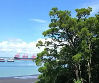 licença ambiental terminal de minério de ferro