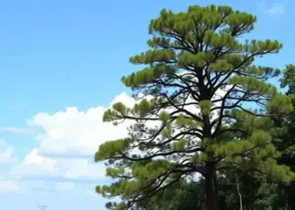 Últimas noticias de Itaguaí