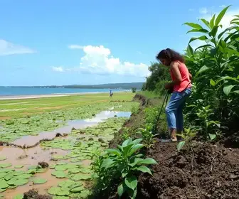 porto do meio
